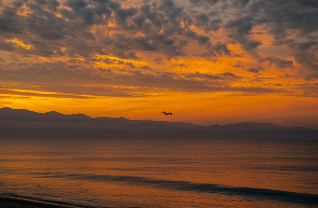 foto:Eduardo Amaya Rivera  - lo hecho en México