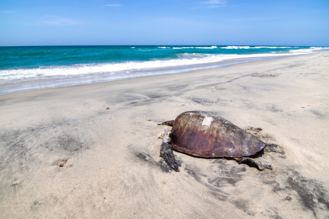 foto:omar ismael laredo daza  - lo hecho en México