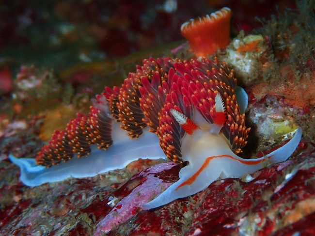 foto:María Luisa Gutiérrez Hernández  - lo hecho en México