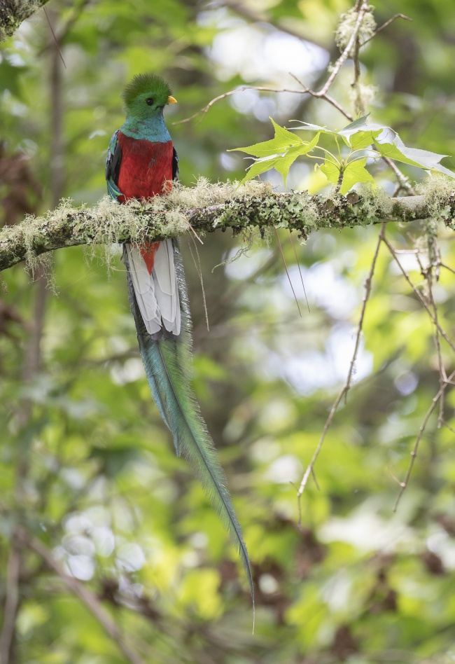 foto:Augusto Sergio Zapata Domínguez  - lo hecho en México
