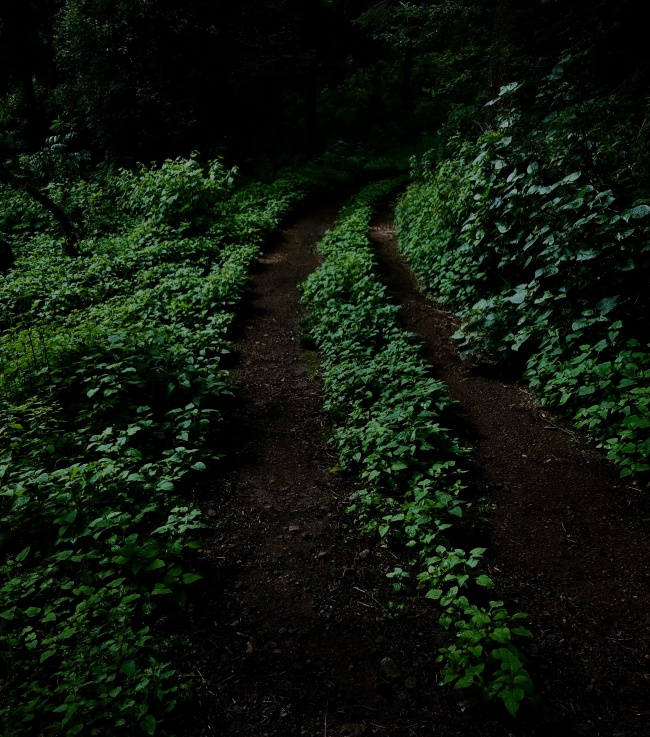 foto:rené garcía   - lo hecho en México