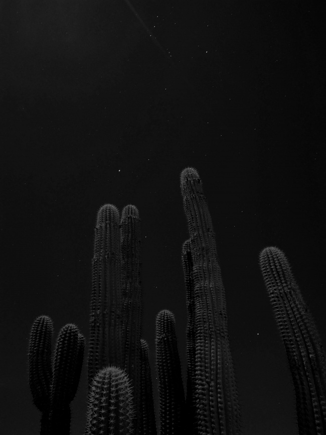 foto:José Antonio Osorio Cruz  - lo hecho en México