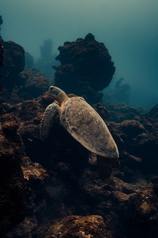 foto:Alejandro Morales Gomez  - lo hecho en México