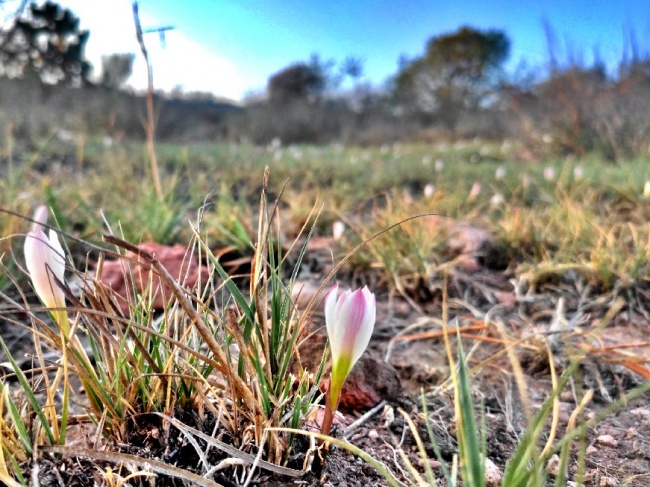 foto:Fernando Díaz Jiménez   - lo hecho en México