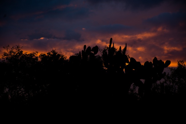 foto:Jairo Daniel Bautista Martínez   - lo hecho en México