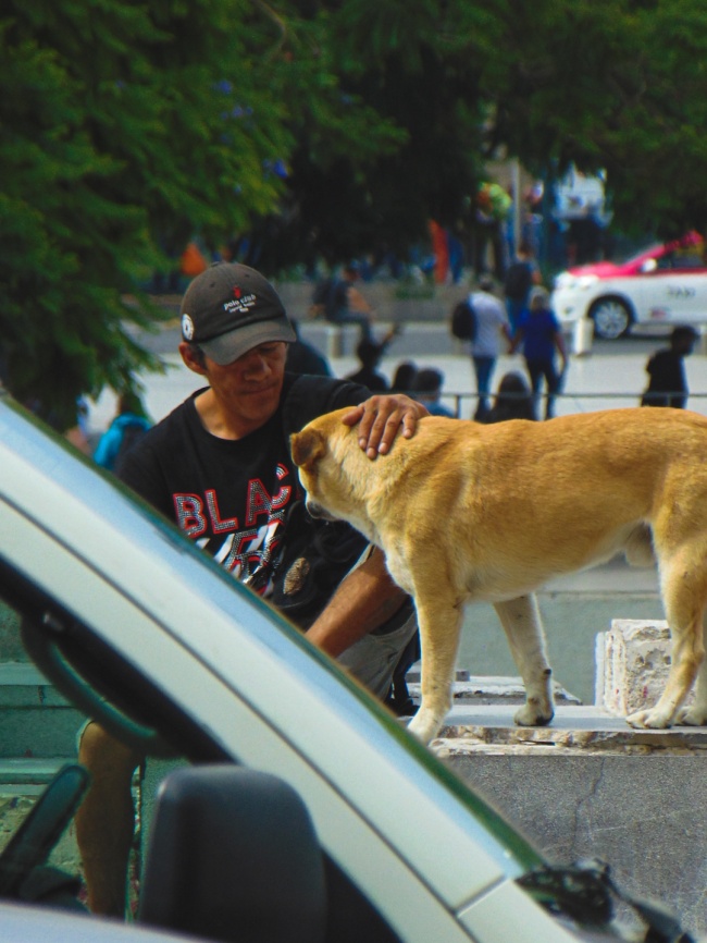 foto:Diego Abraham Bermudez Hernandez  - lo hecho en México