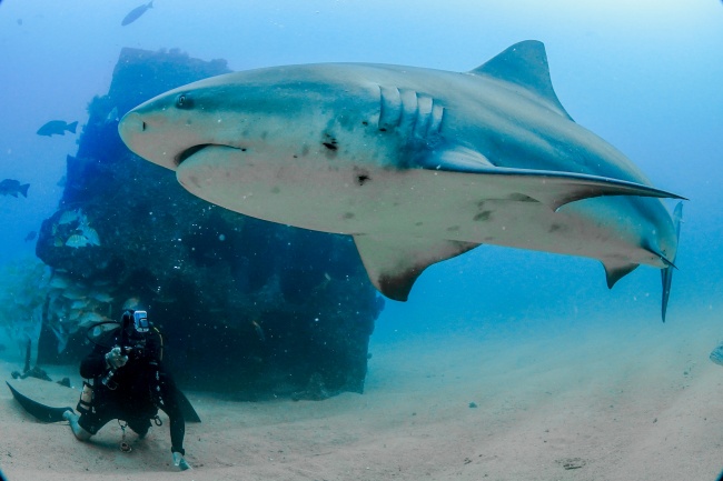 foto:Juan Antonio Murillo Covarrubias   - lo hecho en México