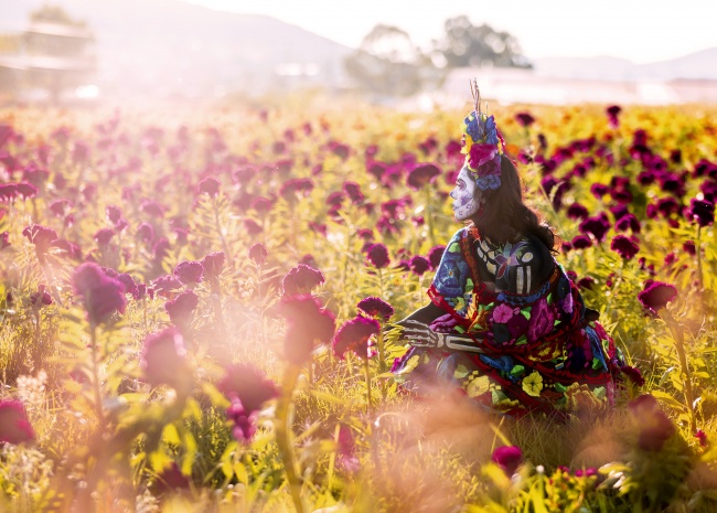 foto:Arturo Peña Romano Medina  - lo hecho en México