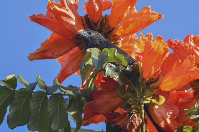 foto:Xóchitl Mariana Hernández Fuentes  - lo hecho en México