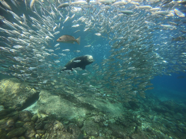 foto:Jesús isabel castillo  - lo hecho en México
