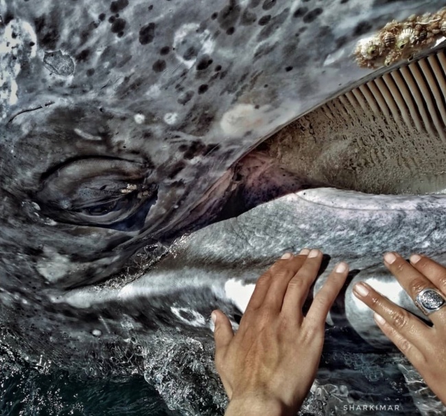 foto:Marielle Jacome Robles  - lo hecho en México
