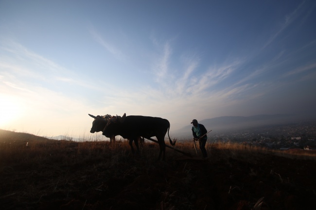 foto:MISAEL SALVADOR NOGALES GALINDO  - lo hecho en México
