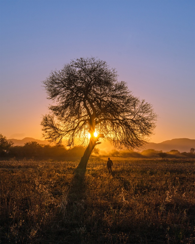 foto:Alexis Javier Manilla Saucedo - lo hecho en México