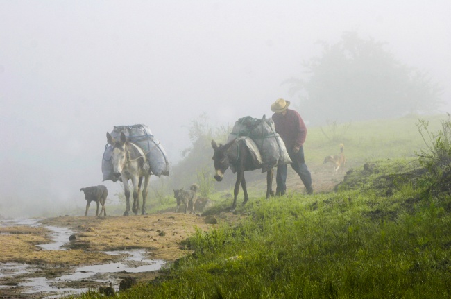 foto:Angel Jose Gomez Martinez - lo hecho en México