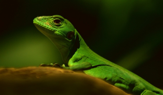 foto:Juan Emmanuel Ramírez Flores   - lo hecho en México