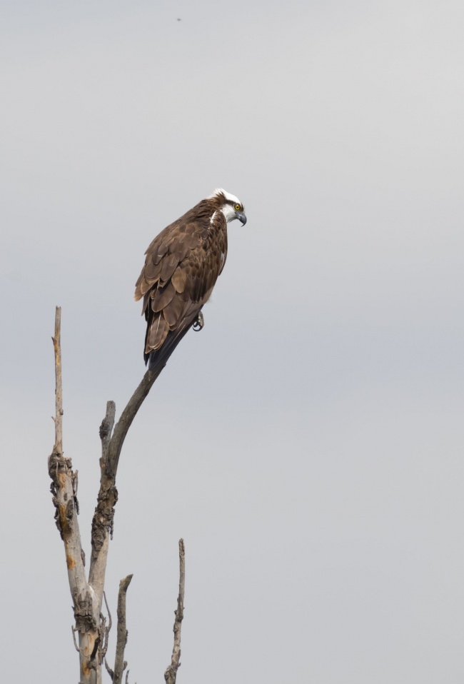 foto:Hilda María Guerrero Casillas   - lo hecho en México
