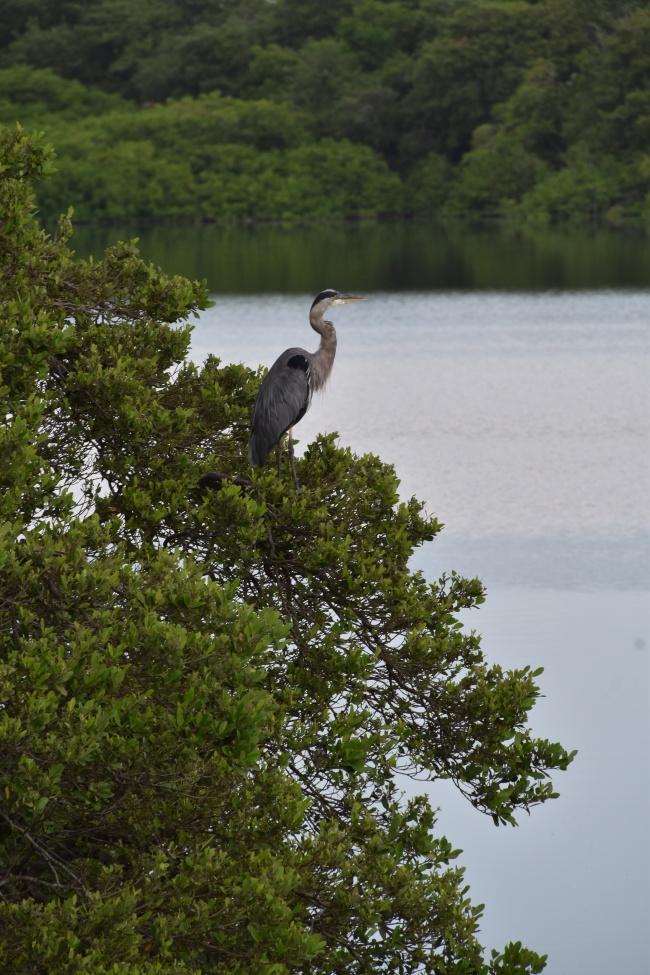 foto:Laura Fernandez Bernal  - lo hecho en México