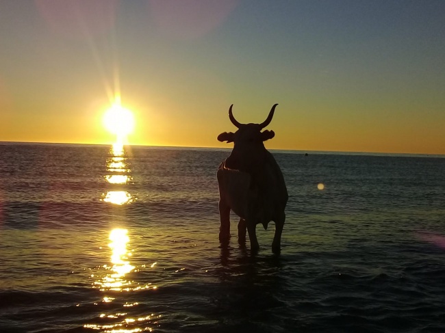 foto:RAMON EDUARDO RODRIGUEZ SANCHEZ  - lo hecho en México