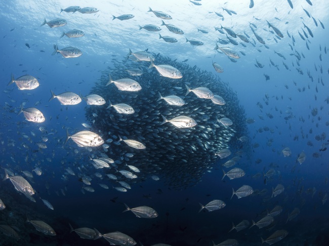 foto:Paola Ruffo Ruffo  - lo hecho en México