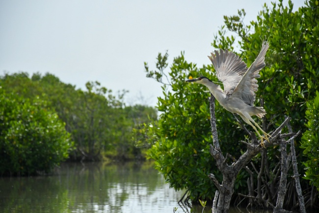 foto:René Villanueva González  - lo hecho en México