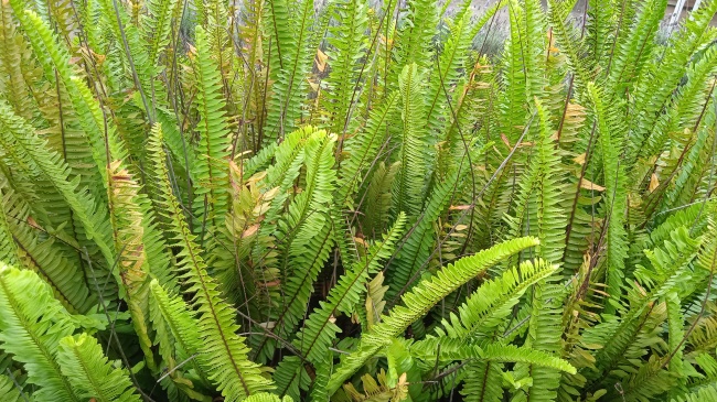 foto:Jaquelin Mendez Gómez  - lo hecho en México