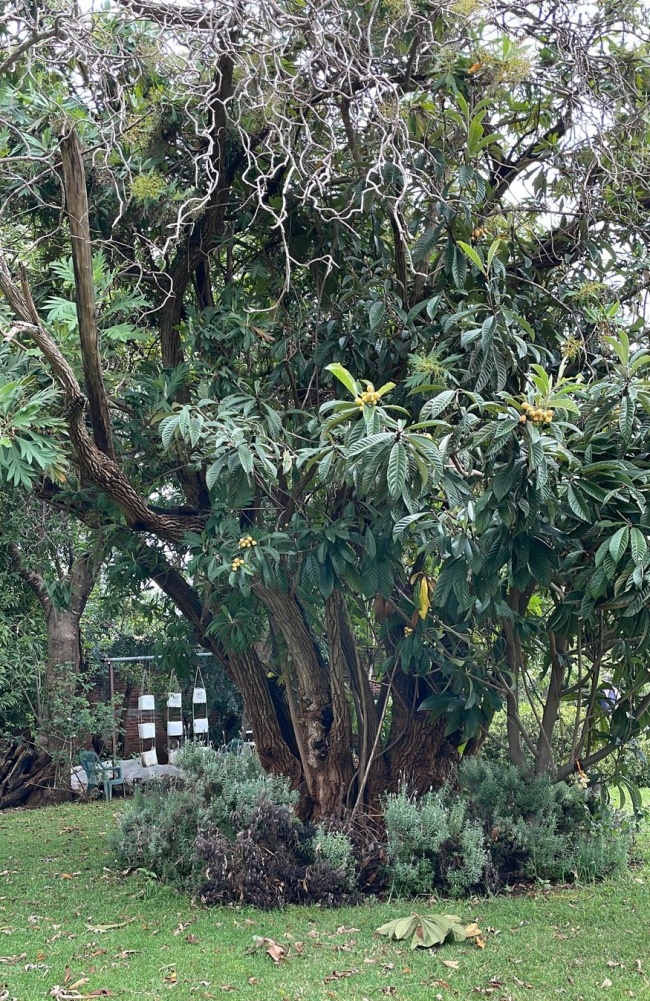 foto:jorge Alberto Dorantes  - lo hecho en México