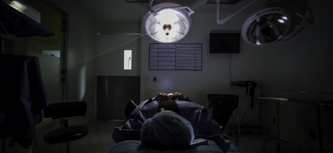 foto:Gerardo Lopez Portillo Villegas  - lo hecho en México