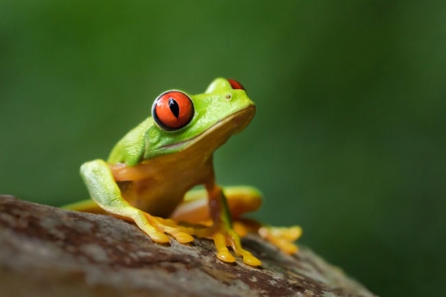 foto:Maria Elena Muñoz  - lo hecho en México