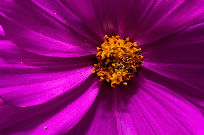 foto:Humberto Jared lacayo Ramirez  - lo hecho en México