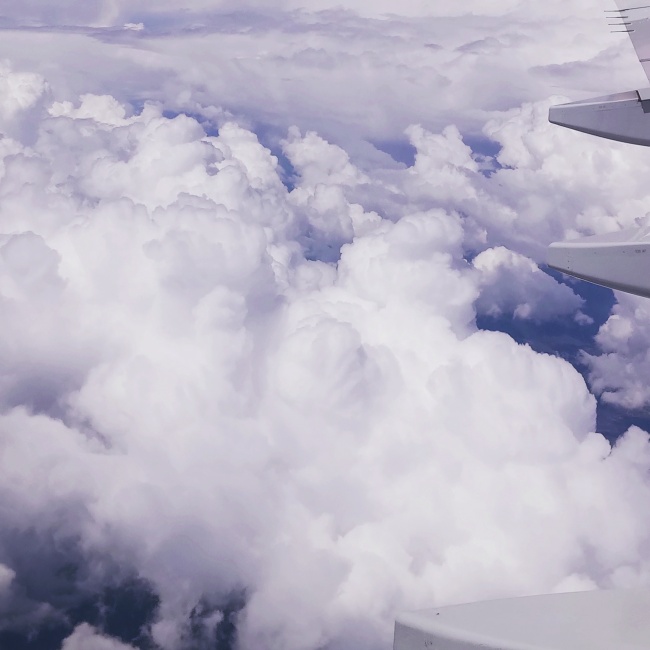 foto:Ricardo Israel davila garcia  - lo hecho en México