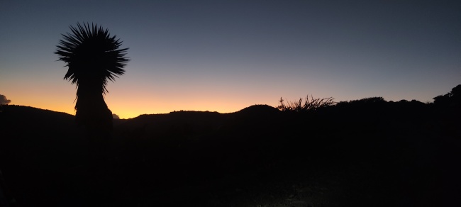 foto:Tania Garrido Gavilán  - lo hecho en México