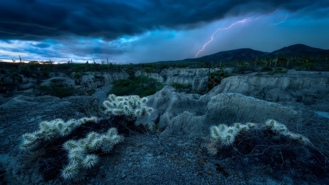 foto:Ernesto Luis Haghenbeck Correa  - lo hecho en México