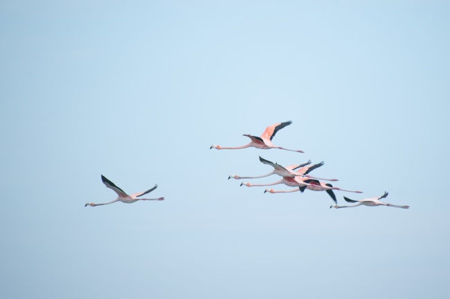foto:Abdeel Rivera Munguia  - lo hecho en México