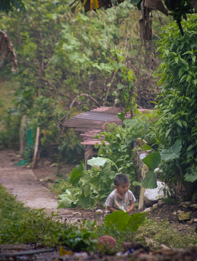 foto:MARIA DE LOURDES VIDAL FLORES  - lo hecho en México