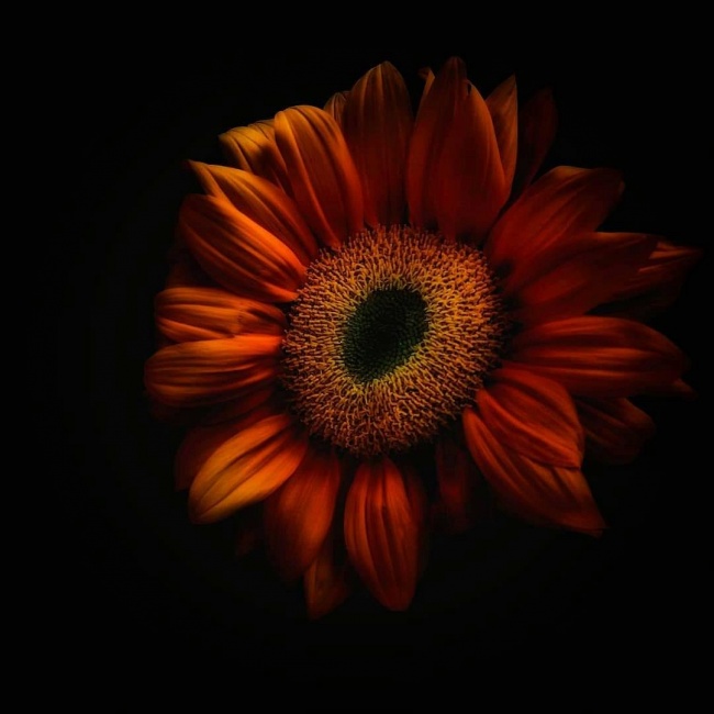 foto:Tere Ramírez  - lo hecho en México