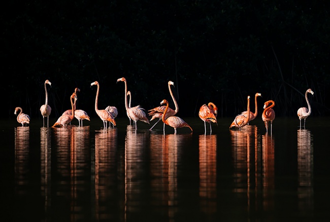 foto:Elda Gabriela Jiménez Hernández  - lo hecho en México