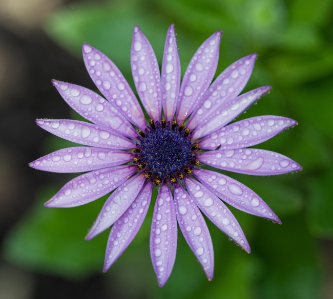 foto:Arántzazu Echeverría Alvarez  - lo hecho en México