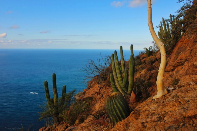foto:Iván Mares Armenta  - lo hecho en México