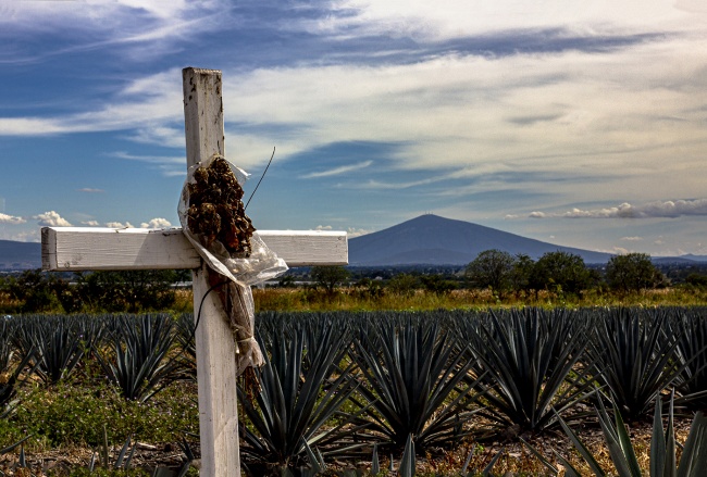 foto:Karina Ramos Torres - lo hecho en México
