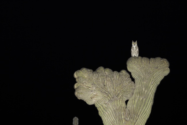 foto:Rafael López Chávez  - lo hecho en México