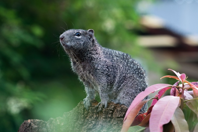 foto:Yolanda Bravo Nieto  - lo hecho en México
