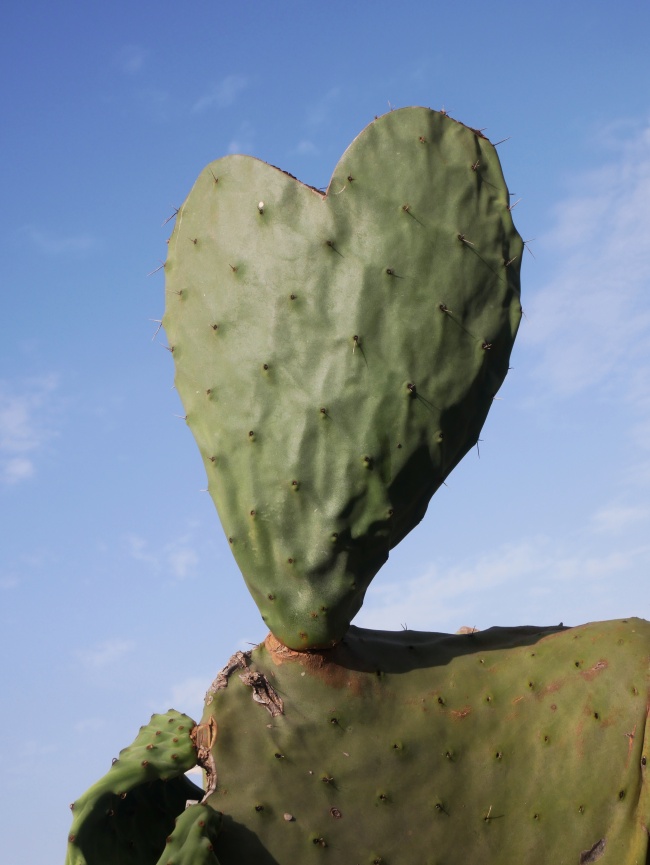 foto:José Félix BARAJAS MENDOZA  - lo hecho en México