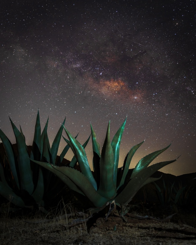 foto:EDUARDO FERNANDO GONZALEZ ACOSTA - lo hecho en México