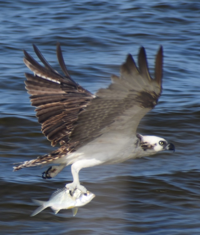 foto:Alejandro López Castillo  - lo hecho en México