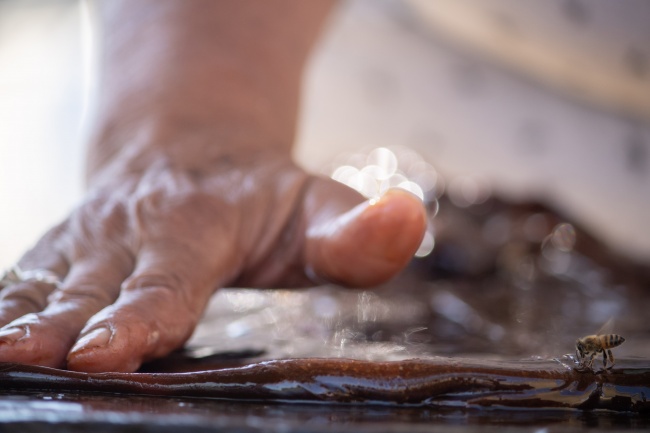 foto:Ana Rosa Machorro Onofre   - lo hecho en México