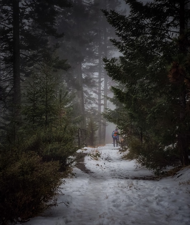 foto:Carlos Alberto Carreón Girodengo   - lo hecho en México