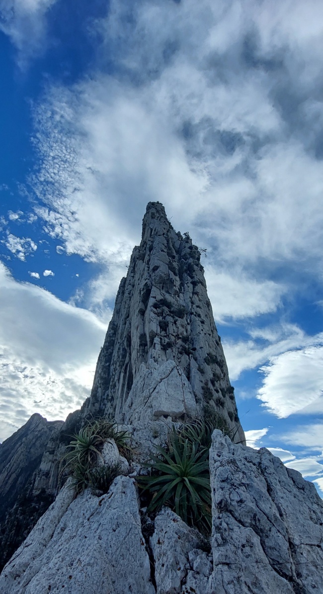 foto:César Daniel Gómez Ibarra  - lo hecho en México