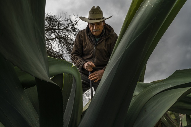 foto:EDUARDO ESSES GRITZEWSKY  - lo hecho en México