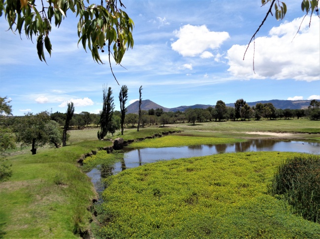 foto:Margarito Cruz Castillo - lo hecho en México