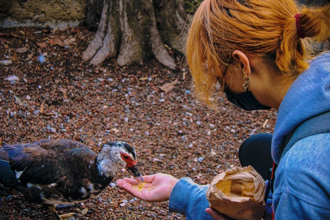 foto:Brian Salamanca Solano  - lo hecho en México